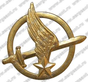 Эмблема на берет батальона специального назначения ВВС ― Сержант