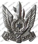 Эмблема на берет военно-воздушных сил