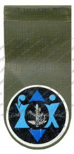 Нарукавный знак военно-финансового управления Генерального штаба ― Сержант