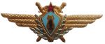 Квалификационный знак «Военный штурман 1-го класса»
