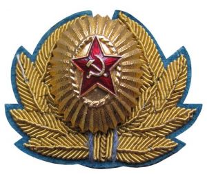 Кокарда высшего командного состава ВВС ― Сержант