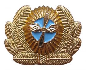 Кокарда министерства Гражданской авиации ― Сержант