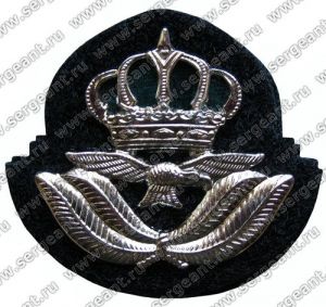 Кокарда на берет офицера ВВС ― Сержант