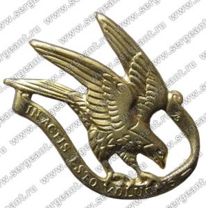 Эмблема на воротник мундира механизированного полка «Gardehusarregiment» ― Сержант