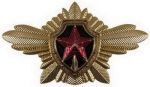 Знак Почетного караула Президентского полка ФСО