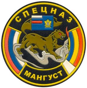 Нашивка отдела специального назначения «Мангуст» УФСИН по Самарской области ― Сержант