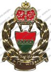 Знак пехотного полка «Rejimen Sempadan»