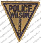 Нашивка полиции района Уилсон