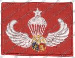 Квалификационная нашивка старшего парашютиста 1-го полка специального назначения сухопутных войск