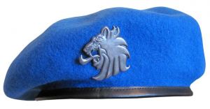 Берет военно-воздушных сил ― Сержант