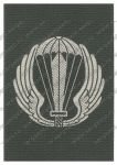 Эмблема на головной убор Военной школы парашютно-десантной подготовки