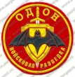 Нашивка разведывательной роты 1-й дивиии оперативного назначения