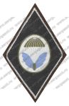 Нашивка 6-й разведывательно-десантной роты 22-й воздушно-десантной бригады